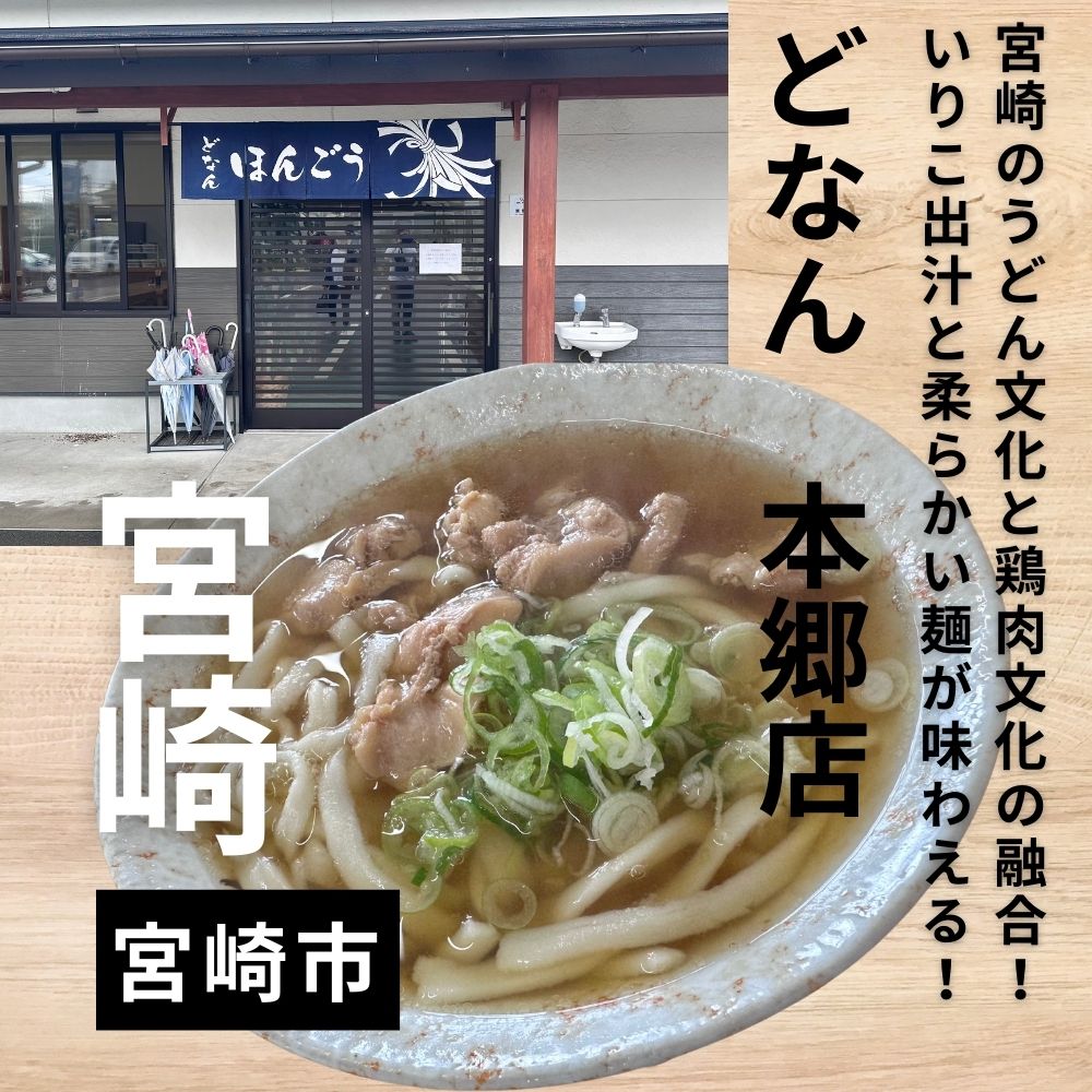 どなん 本郷店の鳥うどん